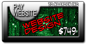 Website Design Ready to go Pro