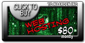 Pro-Maintenance & Hosting